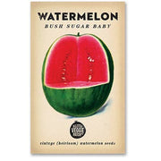 Little Veggie Patch Co - Watermelon "Bush Sugar Baby" Heirloom Seeds