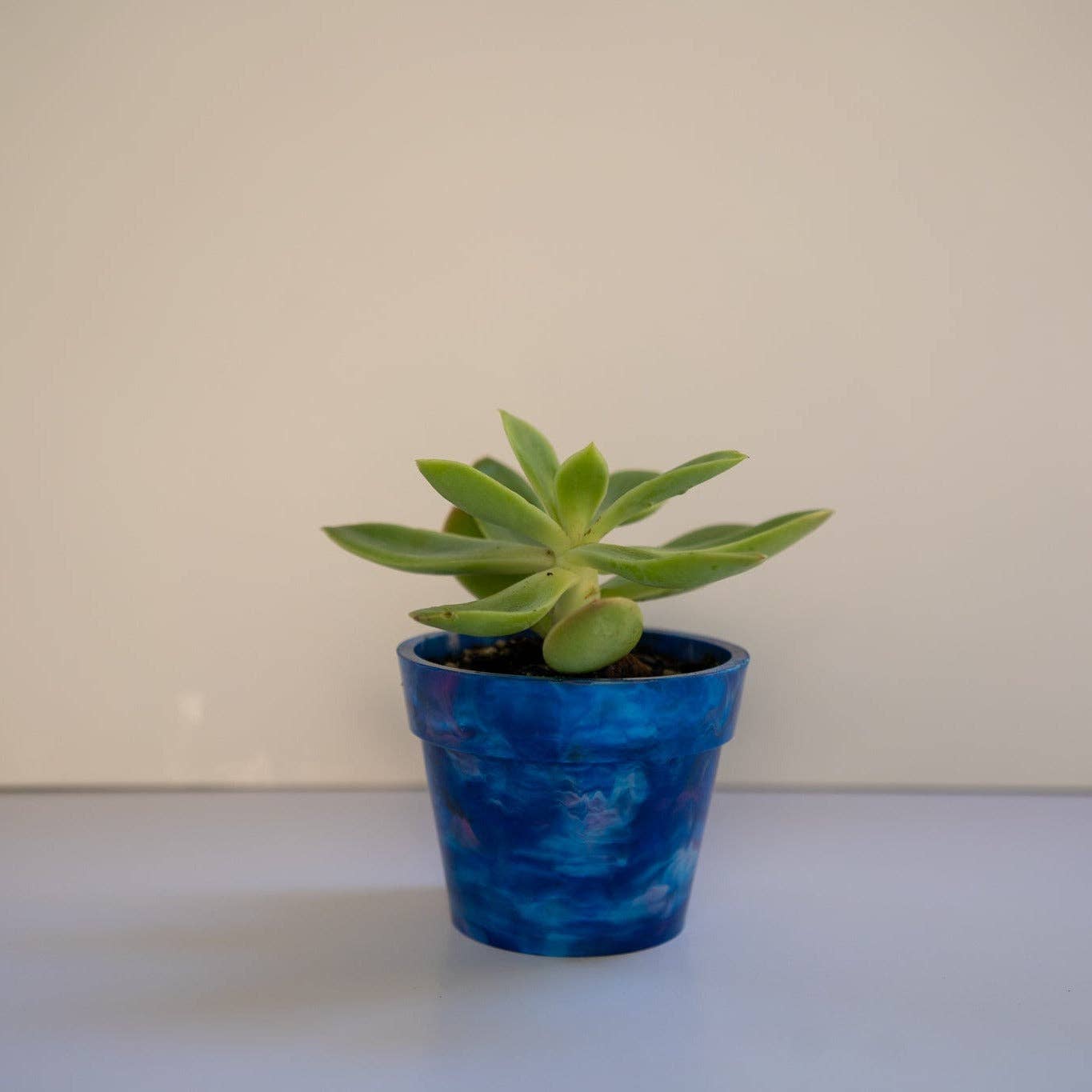 Recycled Plastic Pot Plant — Eco Gift, Australian Made: Chocolate / With Drainage Hole / Single