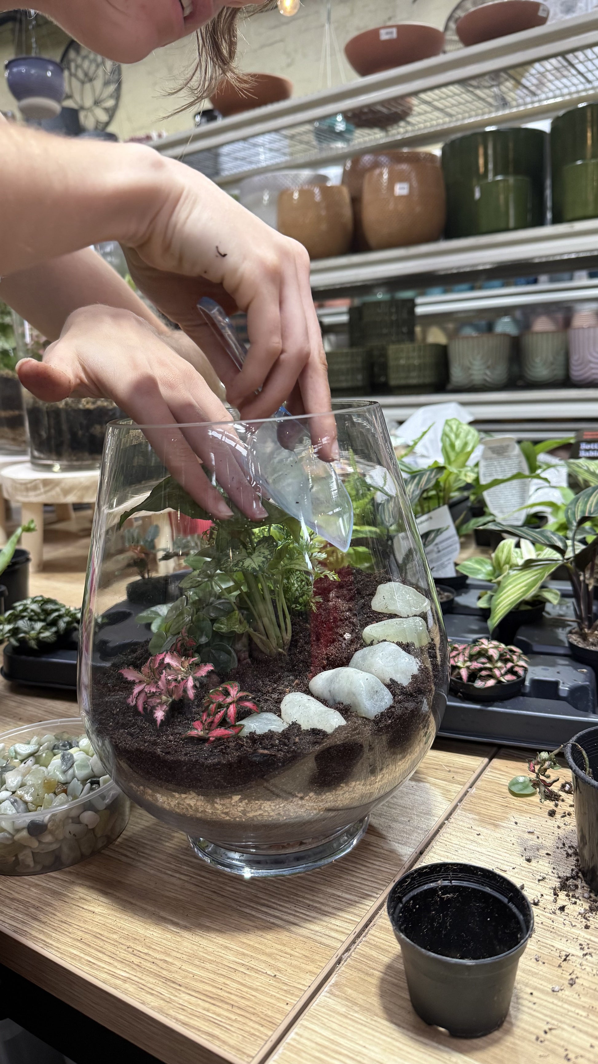 Hands placing white pebbles into a glass terrarium during a workshop at Newtown Garden Market