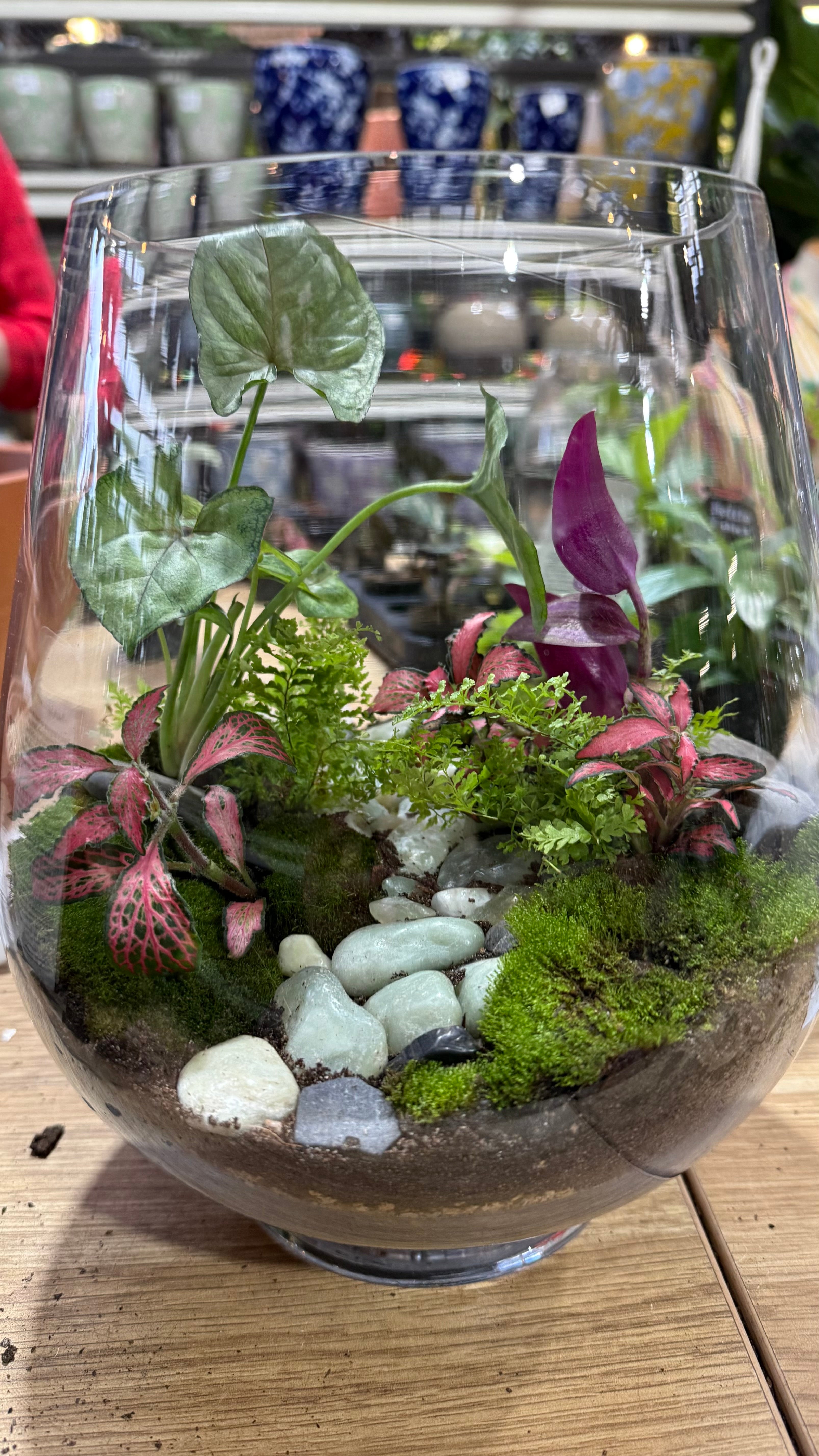 Terrarium Workshop - Sat June 27th 11am