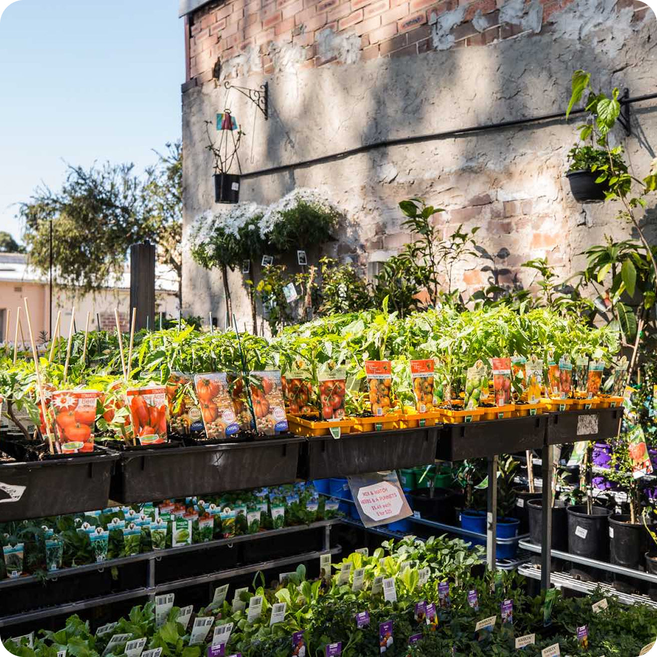 Newtown Garden Market