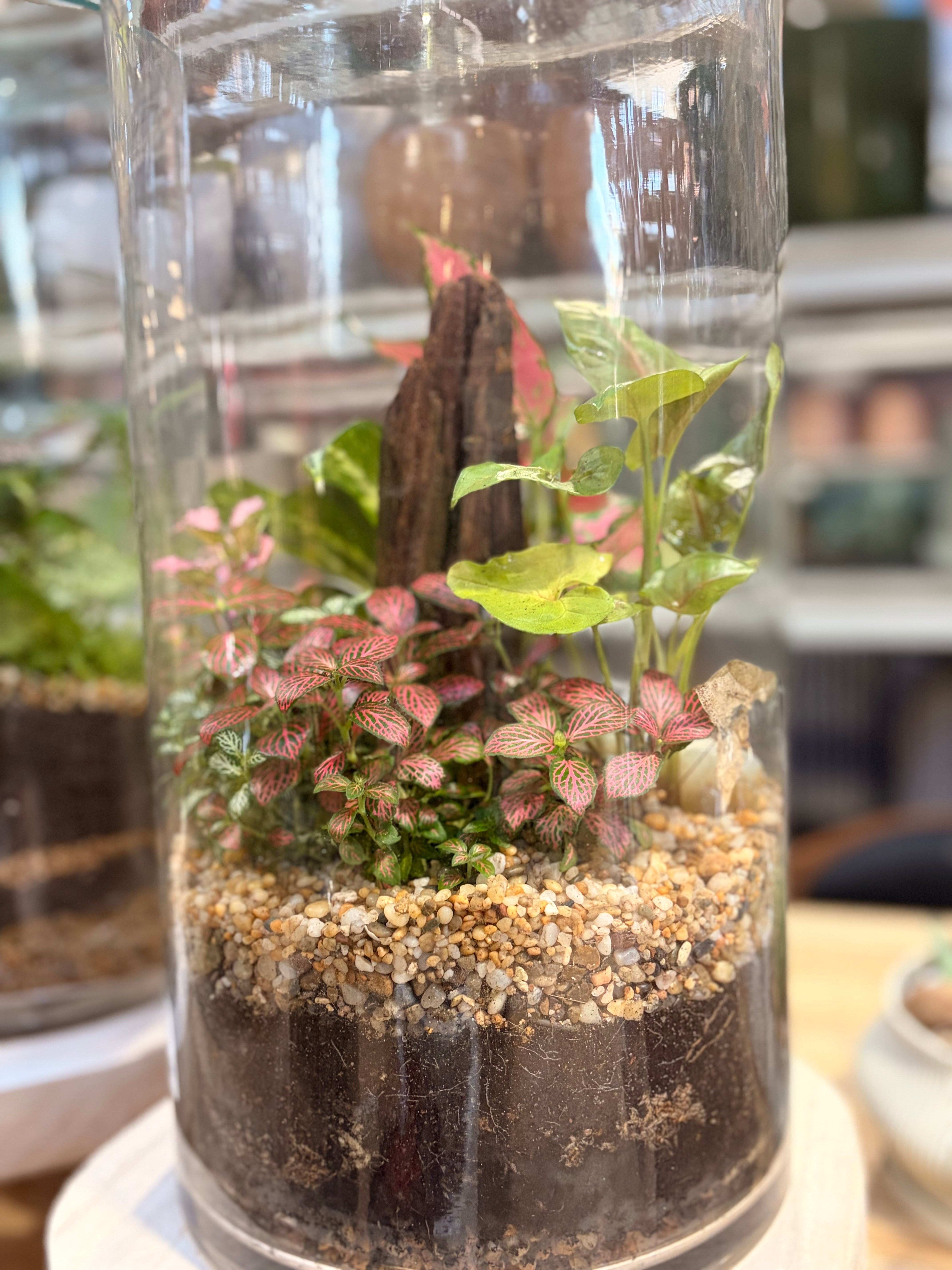 Terrarium Class