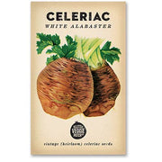 Little Veggie Patch Co - Celeriac 'White Alabaster' Heirloom Seeds