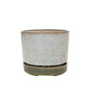 Potted - Pollock Planter Limestone Large