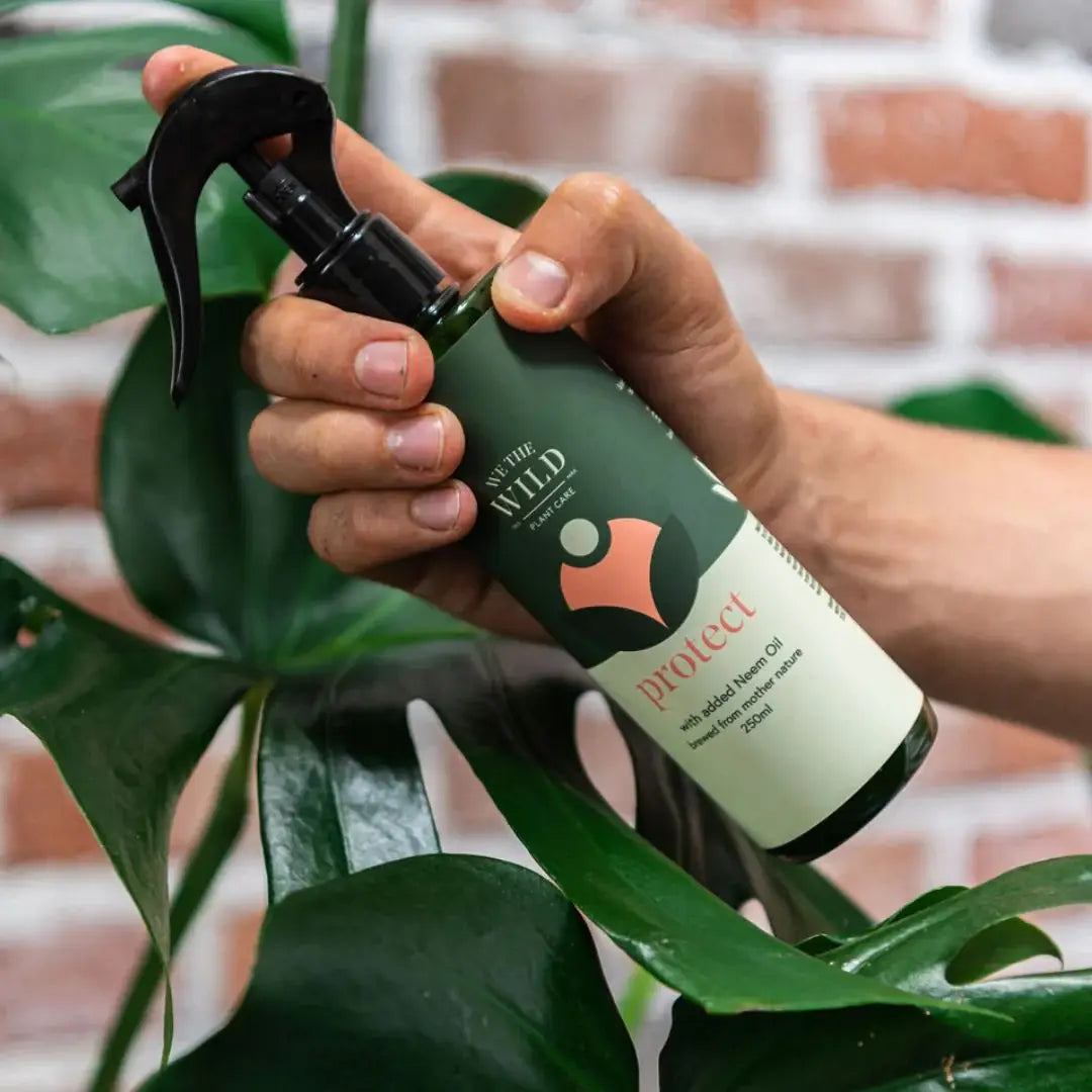 We the Wild Plant Care - Australia - Protect Spray With Neem - Case of 12
