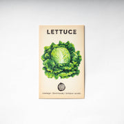 Little Veggie Patch Co - Lettuce "Oakleaf" Heirloom Seeds