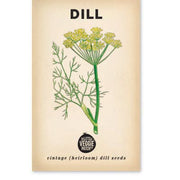 Little Veggie Patch Co - Dill 'Common' Heirloom Seeds