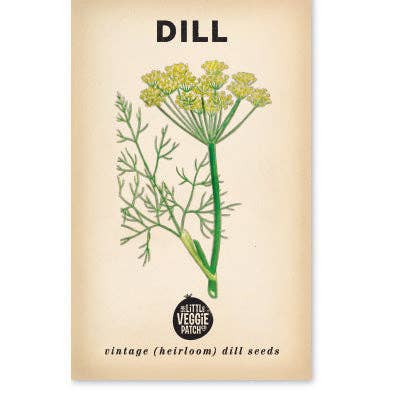 Little Veggie Patch Co - Dill 'Common' Heirloom Seeds