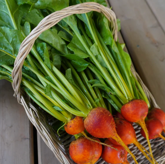Little Veggie Patch Co - Beetroot 'Golden Boy' Heirloom Seeds
