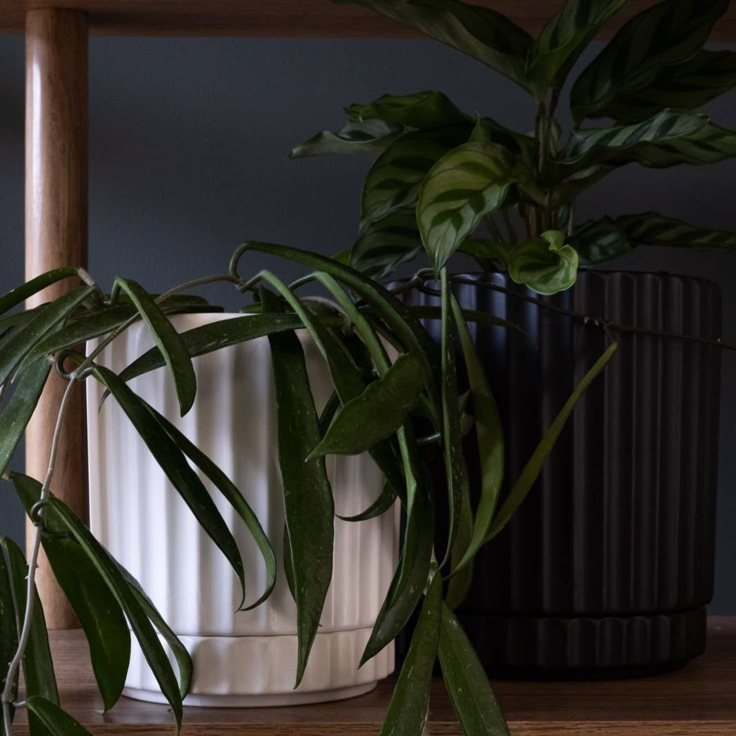 Small Athens Planter Black