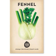 Little Veggie Patch Co - Fennel 'Florence' Heirloom Seeds