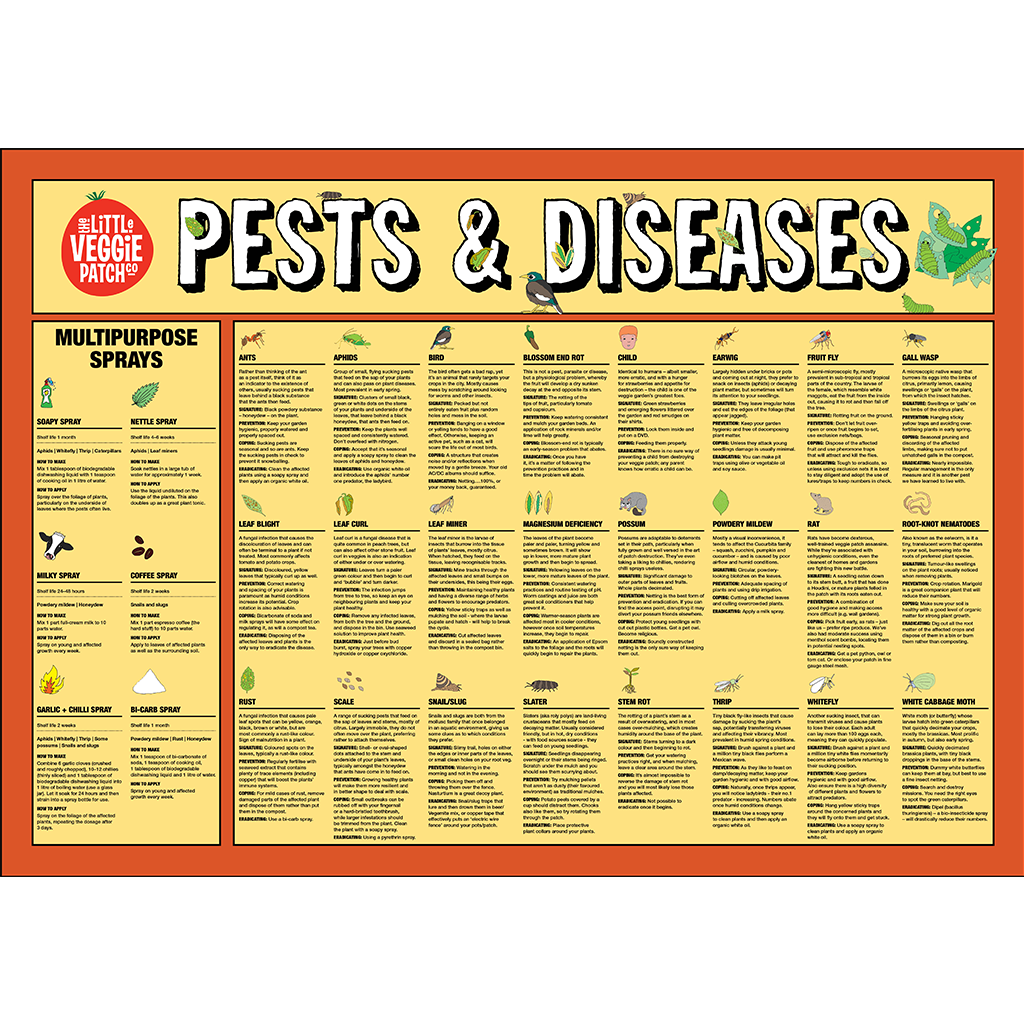 Little Veggie Patch Co - Pest & Disease Help Chart: Default Title (Wholesale)