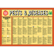 Little Veggie Patch Co - Pest & Disease Help Chart: Default Title (Wholesale)