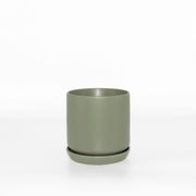 Small Oslo Planter Eucalypt