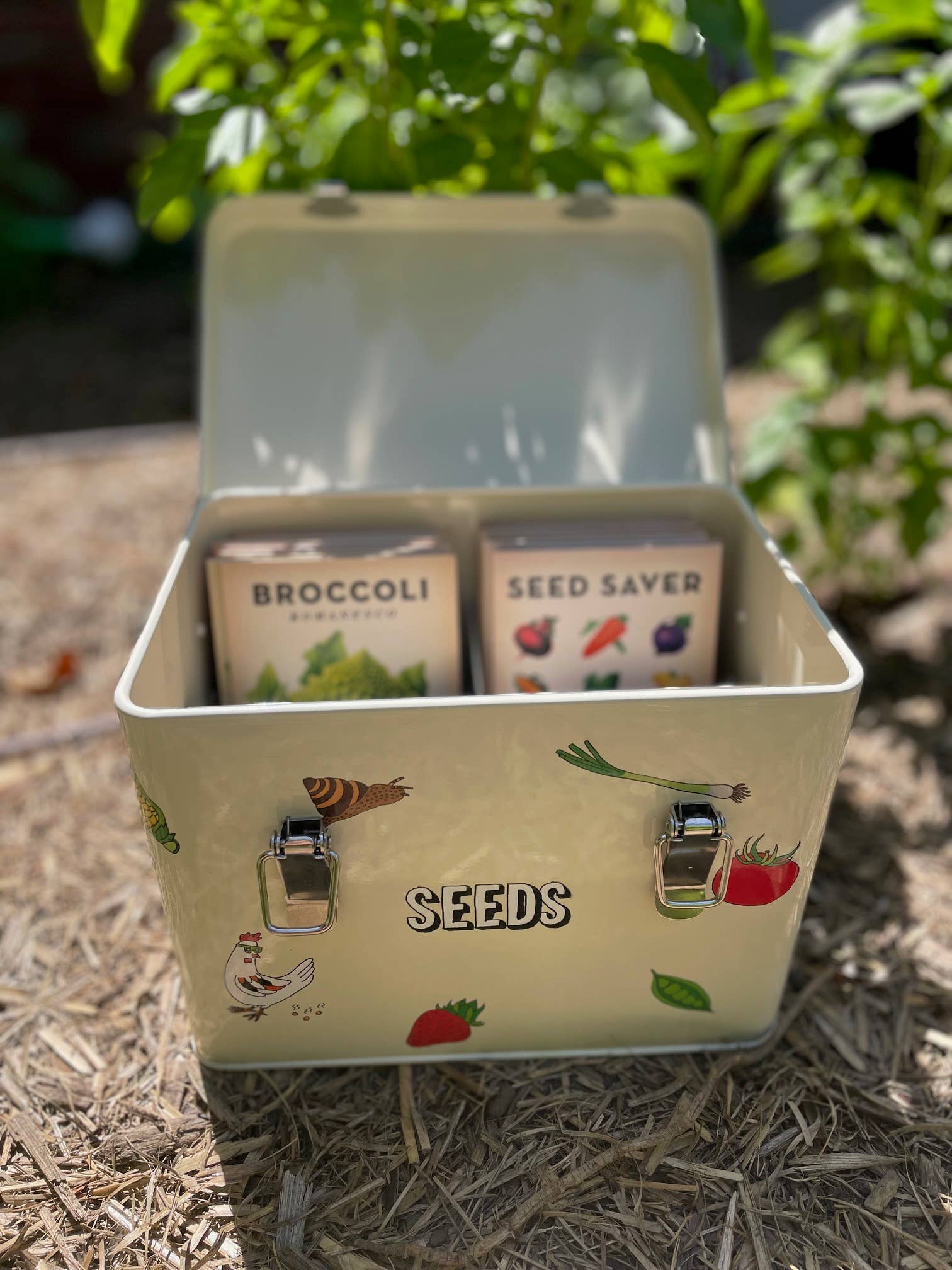 Little Veggie Patch Co - Little Veggie Patch Co Seed & Storage Tin