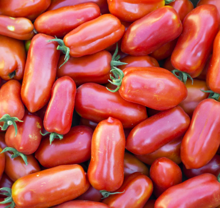 Little Veggie Patch Co - Tomato 'San Marzano' Heirloom Seeds
