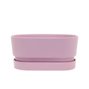 Oblong Stockholm Mallow