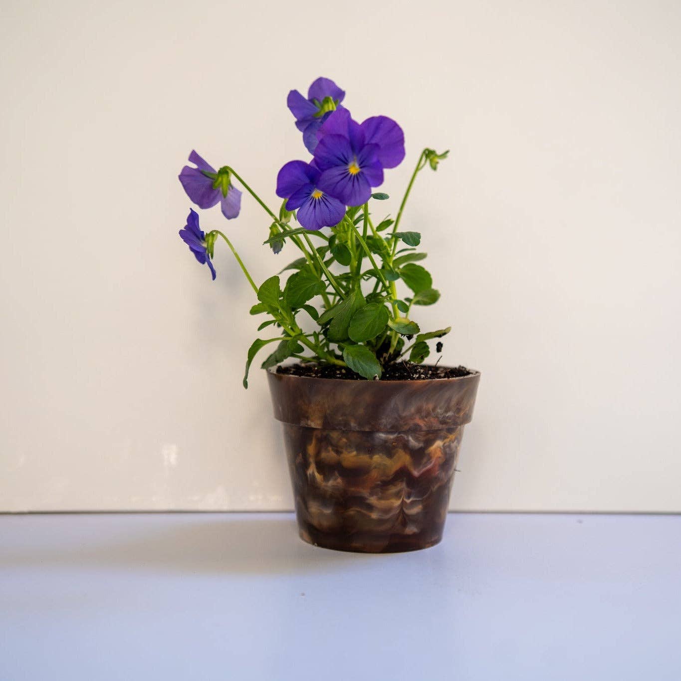 Recycled Plastic Pot Plant — Eco Gift, Australian Made: Fruit Salad (Limited Edition) / With Drainage Hole / Single