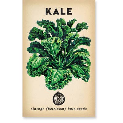 Little Veggie Patch Co - Kale 'Dwarf Blue' Heirloom Seeds