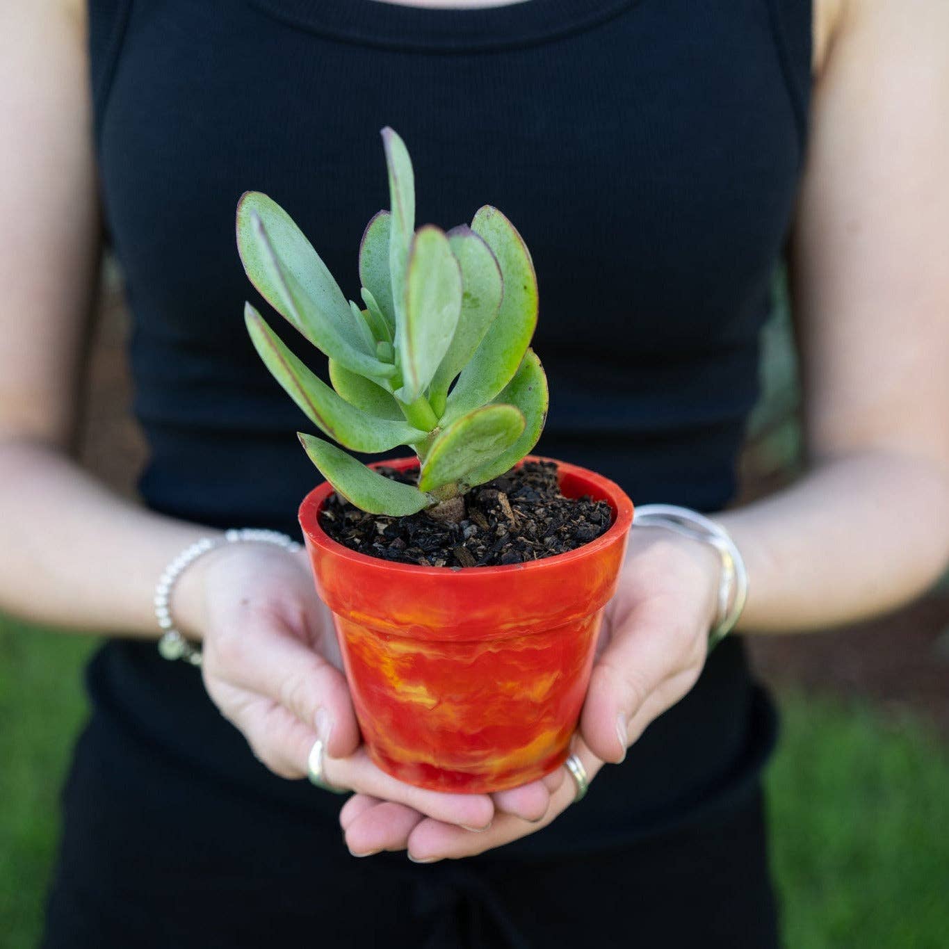 Recycled Plastic Pot Plant — Eco Gift, Australian Made: Fruit Salad (Limited Edition) / With Drainage Hole / Single