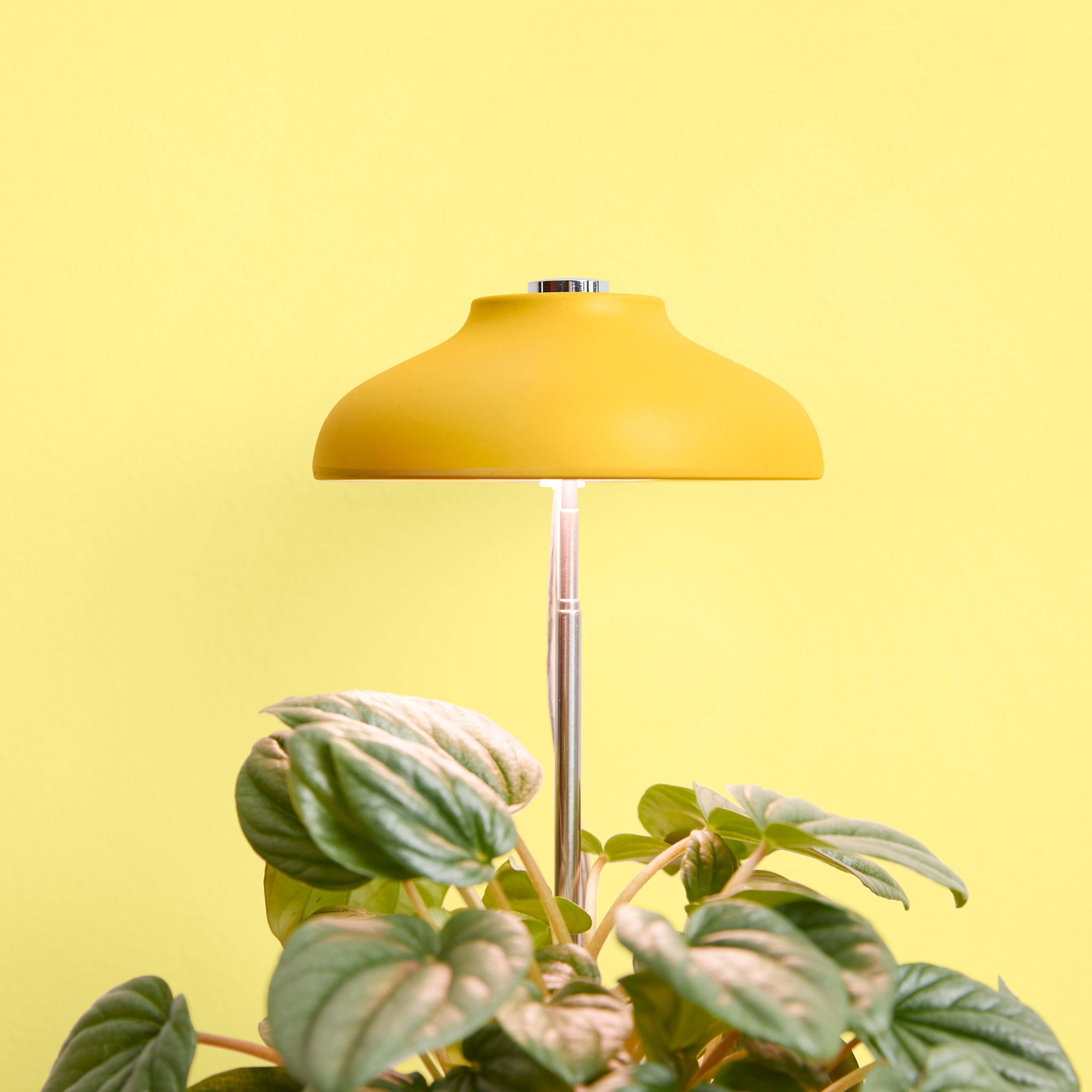 Instant Sun Grow Lamp - Case of 6
