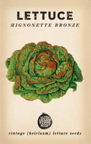 Little Veggie Patch Co - Lettuce 'Mignonette Bronze' Heirloom Seeds