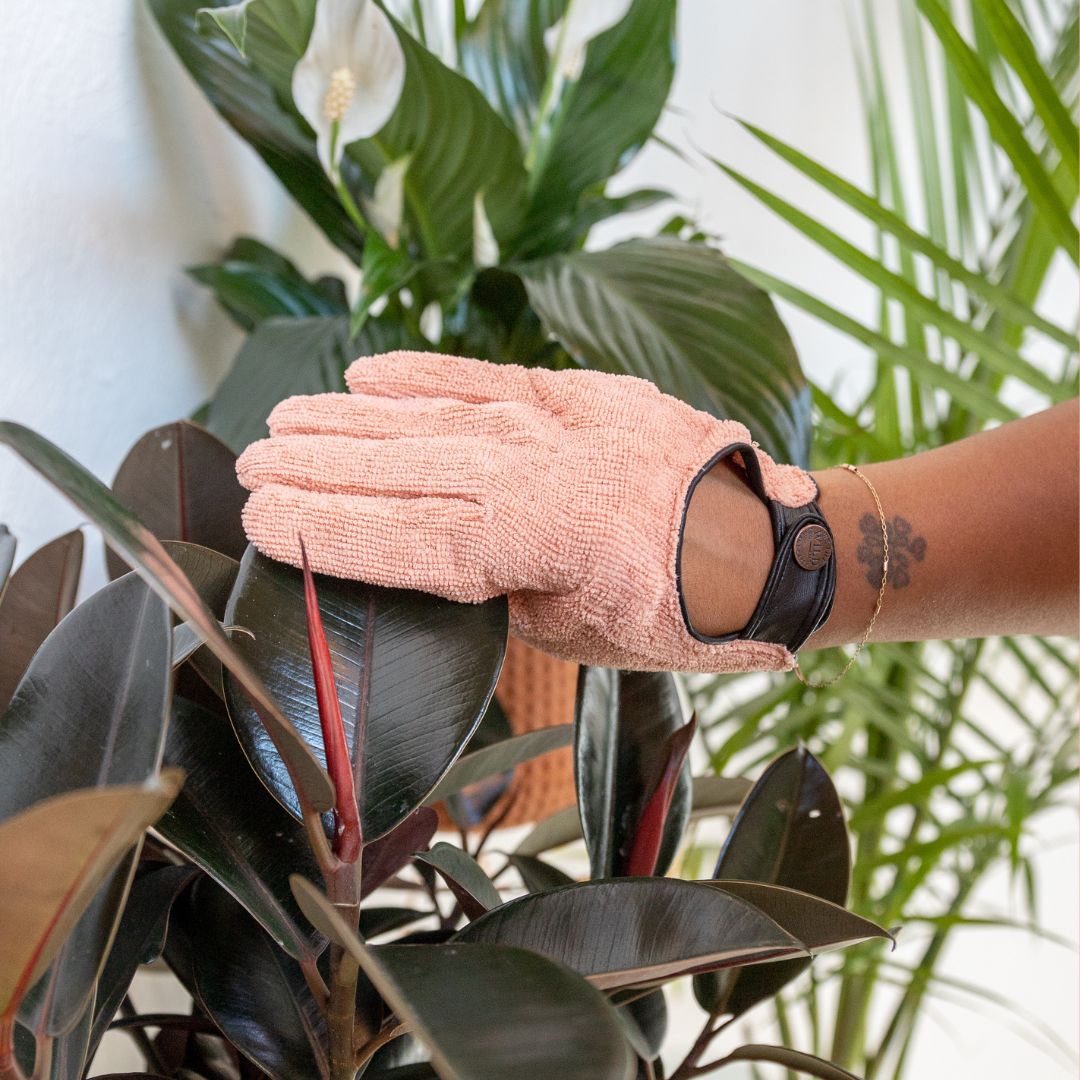 We the Wild Plant Care - Australia - Leaf Cleaning Gloves (Pink) - Case of 12
