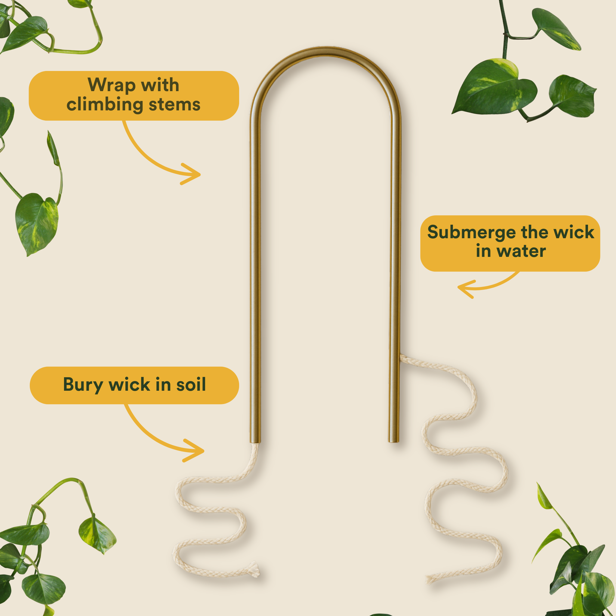Self-Watering Plant Climber - Case of 6