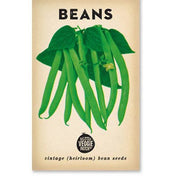 Little Veggie Patch Co - Bean 'Windsor Long Pod' Heirloom Seeds: Default Title (Wholesale)