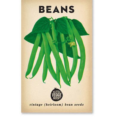 Little Veggie Patch Co - Bean 'Windsor Long Pod' Heirloom Seeds: Default Title (Wholesale)