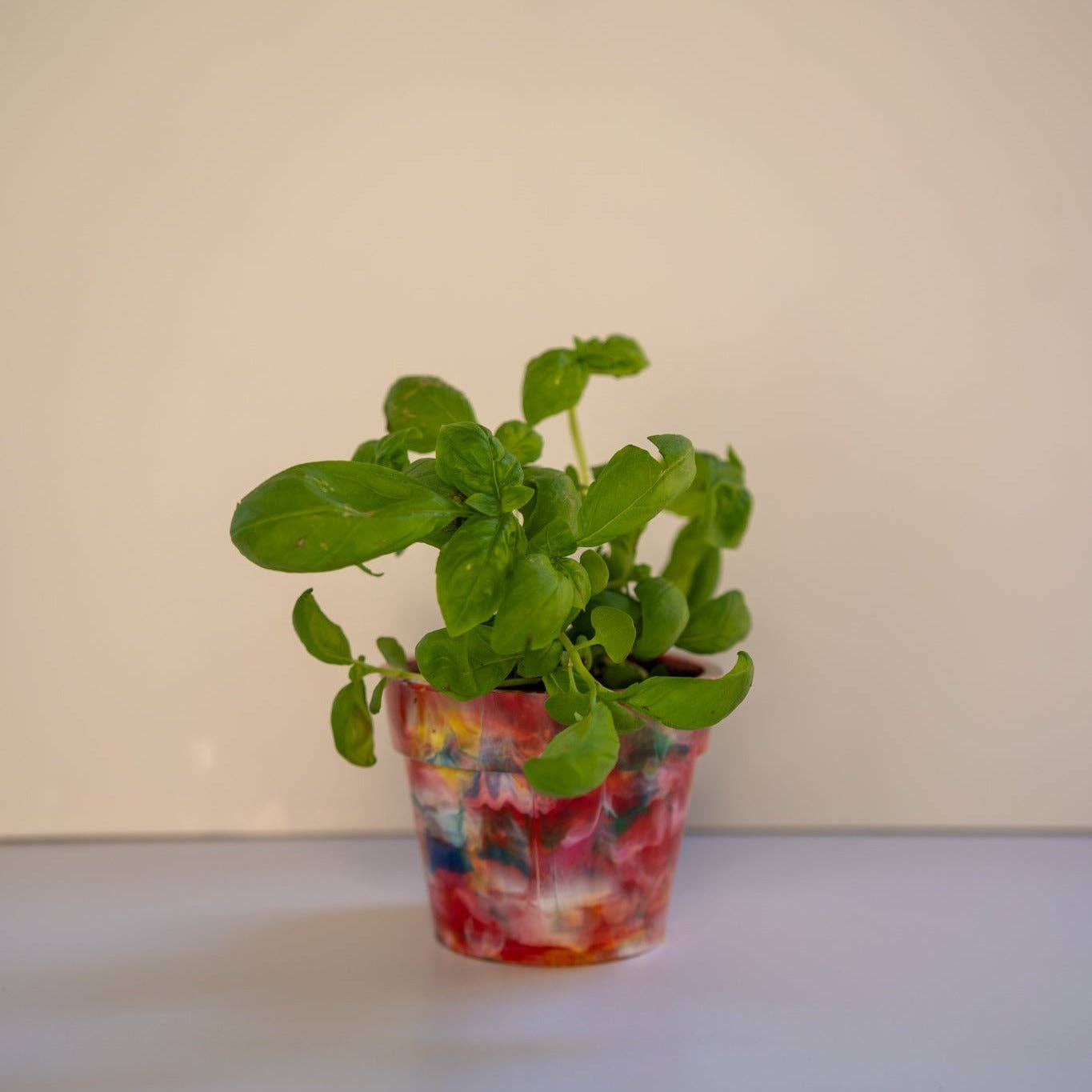 Recycled Plastic Pot Plant — Eco Gift, Australian Made: Fruit Salad (Limited Edition) / With Drainage Hole / Single