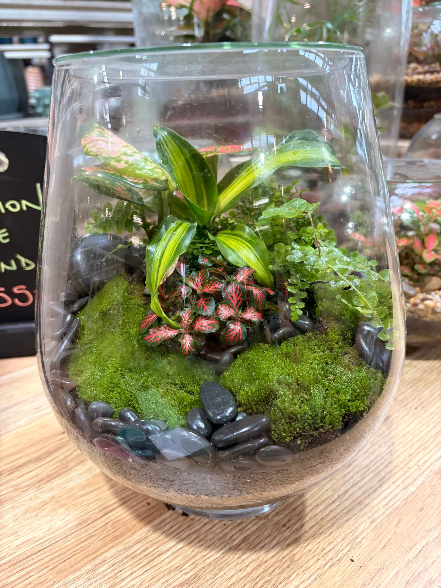 Fishbowl glass terrarium with fittonia and moss from NGM workshop