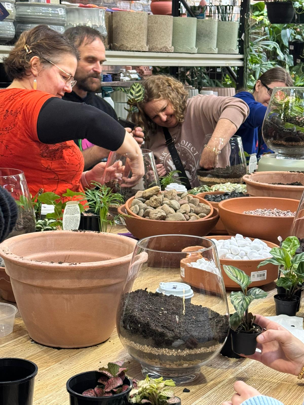 Terrarium workshop build in progress at Newtown Garden Market Saturday session