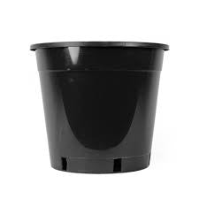Black Plastic Pot 100mm styled with a plant in situ