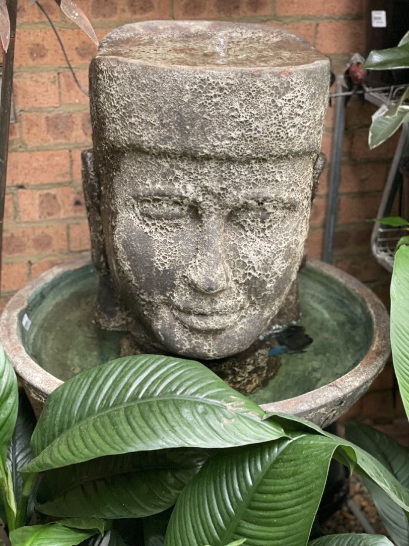 Head Fountain Atlantis Black available at Newtown Garden Market