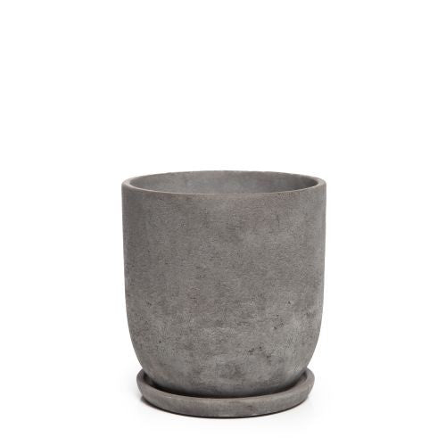 Cement Tulip Pot with Saucer styled with a plant in situ