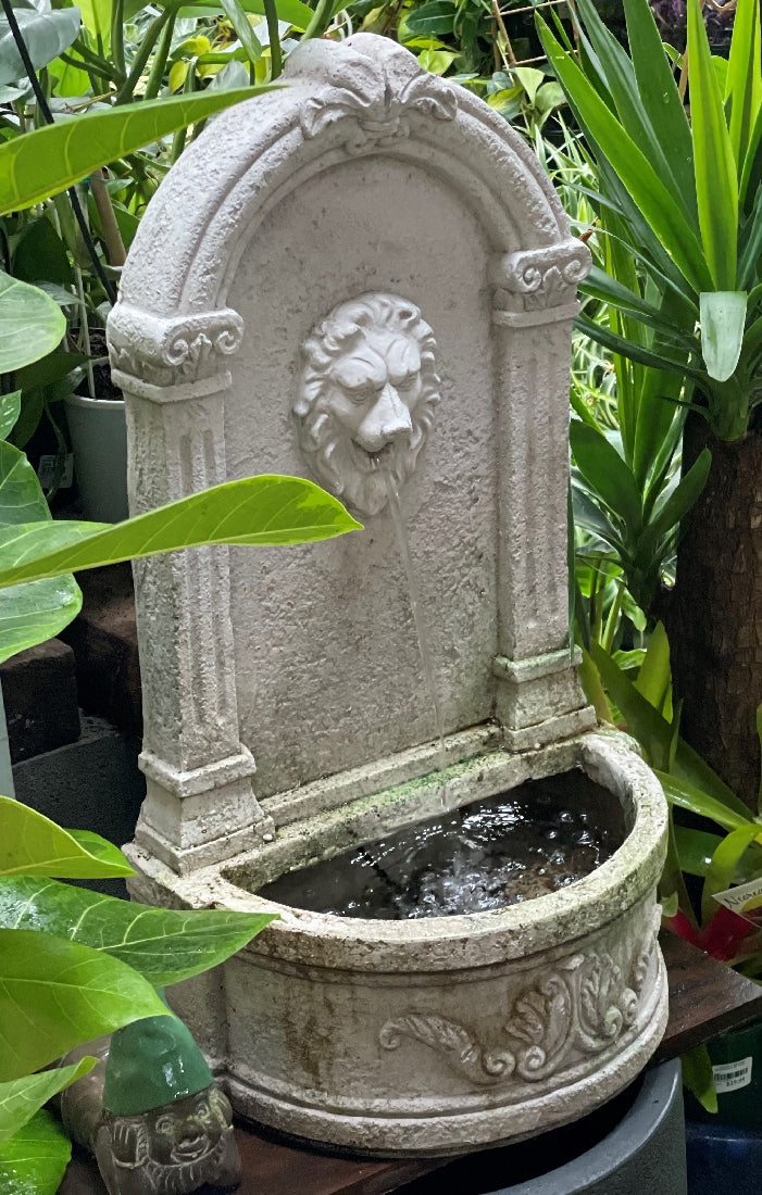 Lion Wall Fountain available at Newtown Garden Market