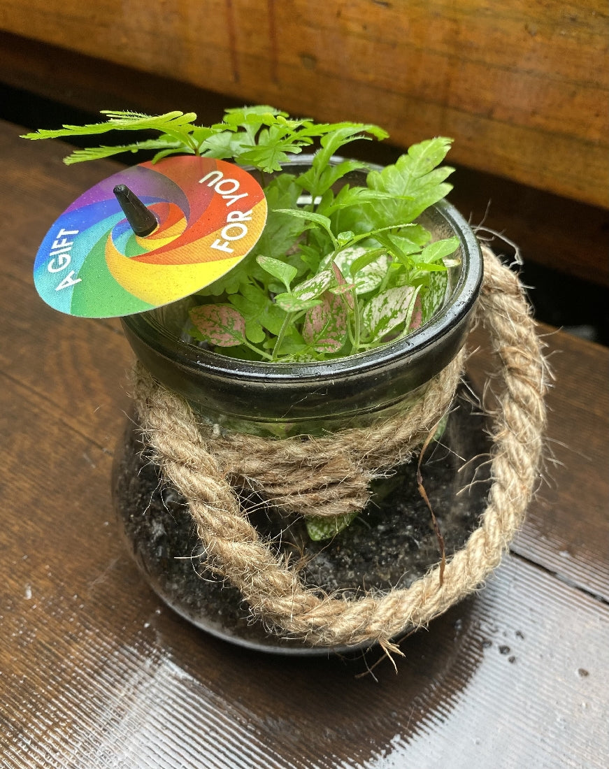 Glass Terrarium with Rope -- Small showing planted miniature garden with moss and foliage