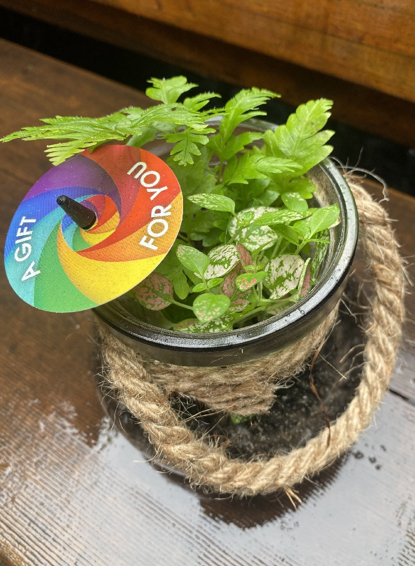 Glass Terrarium with Rope -- Small close-up of interior plants and arrangement