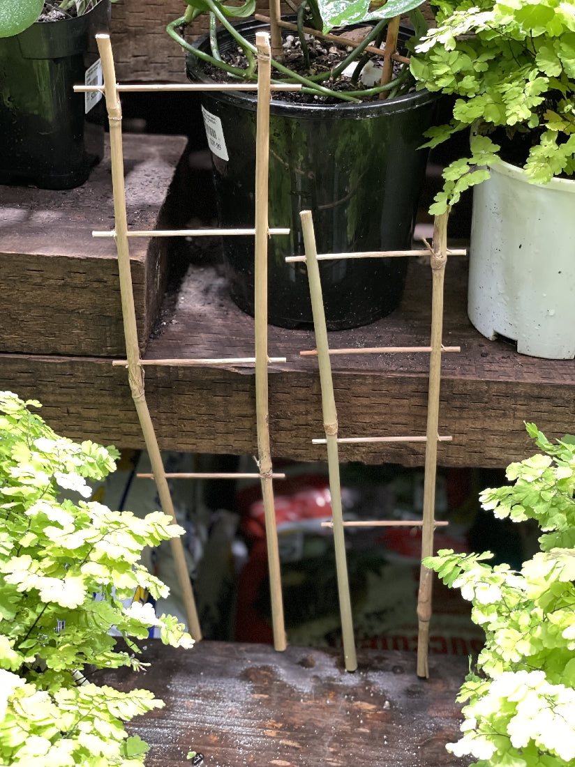 Bamboo Ladder Trellis detail view