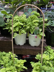 U-Shape Bamboo front view