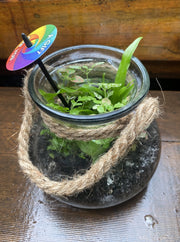Glass Terrarium with Rope -- Medium showing planted miniature garden with moss and foliage