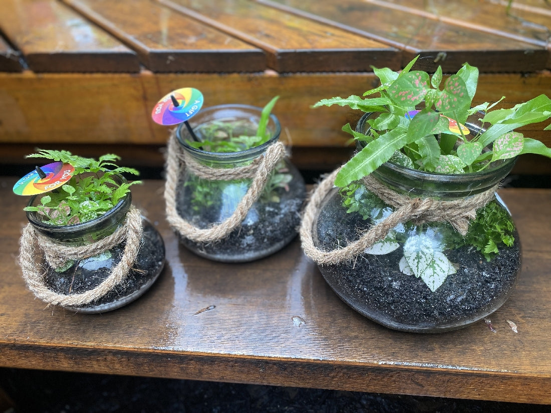 Glass Terrarium with Rope -- Large close-up of interior plants and arrangement