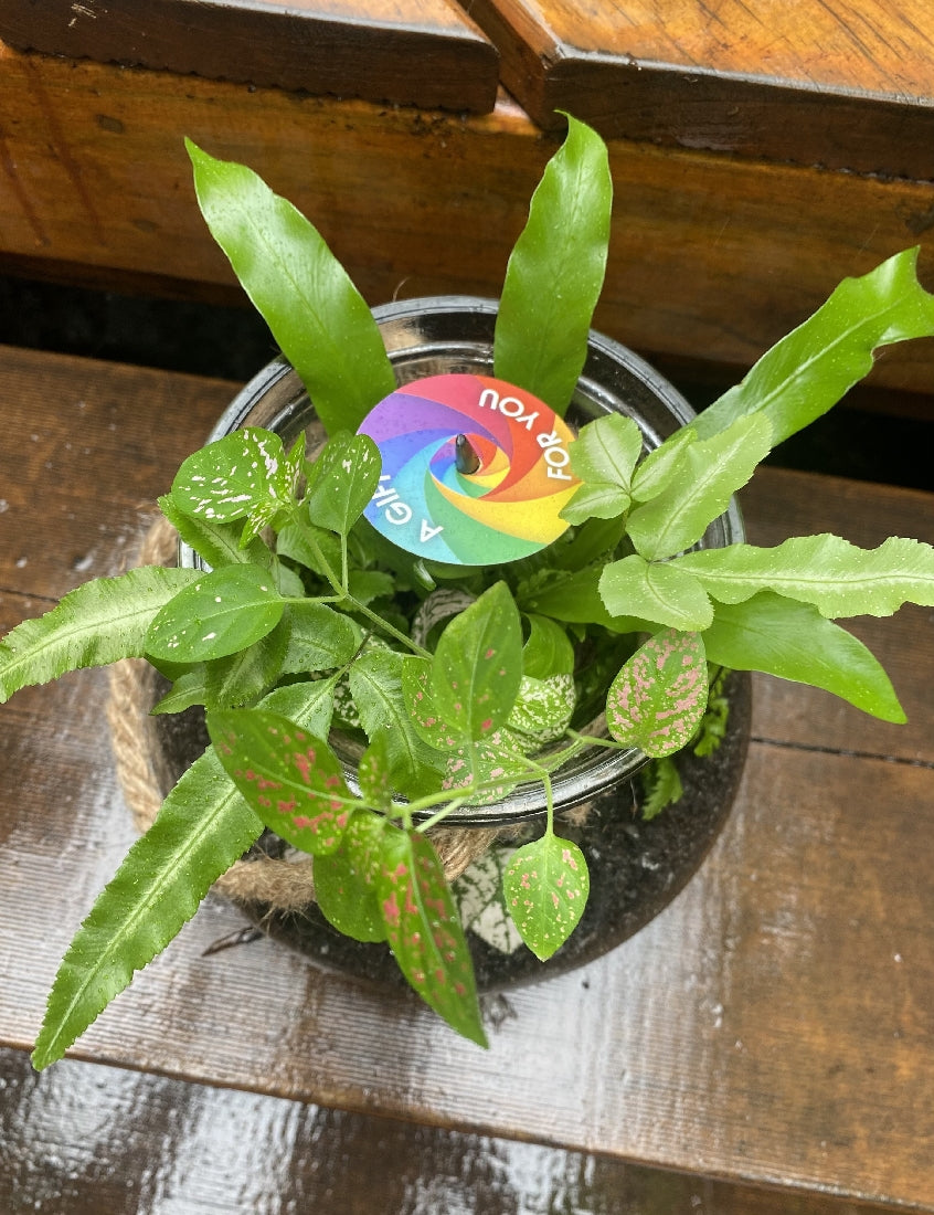 Glass Terrarium with Rope -- Large close-up of interior plants and arrangement