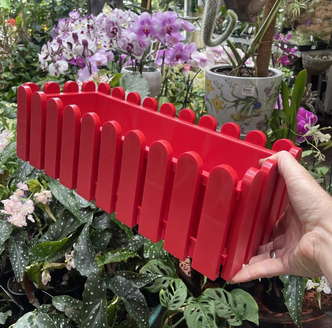 Landhaus Window Box 50cm styled with a plant in situ