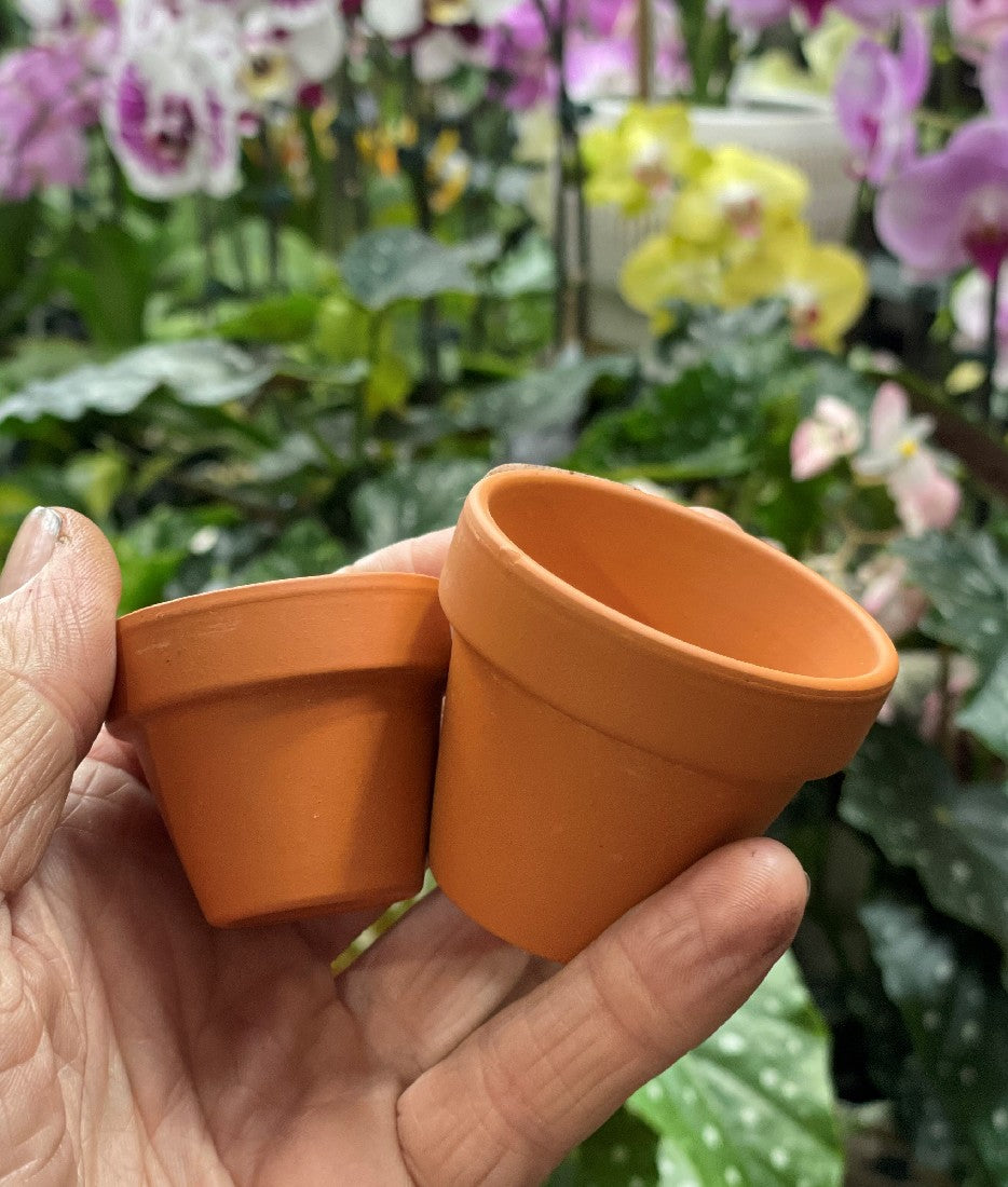 Plain Italian Terracotta Pot detail view