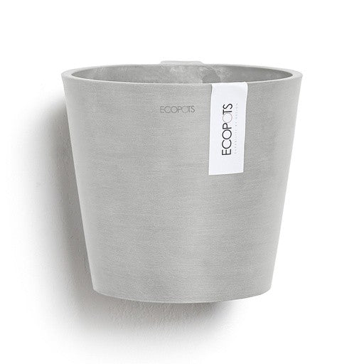 Ecopots Amsterdam Wall Pot 17cm styled with a plant in situ