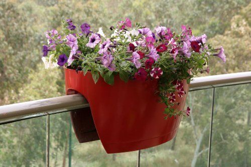 Balcony & Small Space Planters