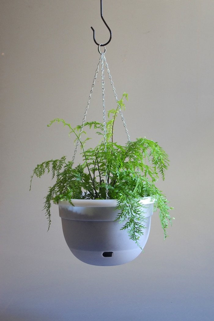 Mr Kitly Self-Watering Hanging Planter 340mm showing pot with built-in water reservoir