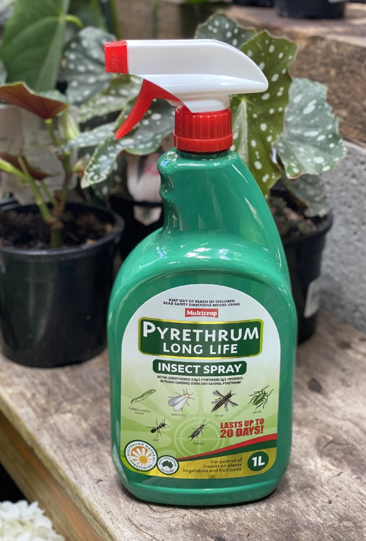 Multicrop Long Life Pyrethrum RTU 1L front packaging